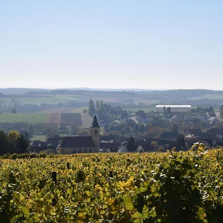 Chambres d'hôtes La Petite Vallée Rott Esterno foto