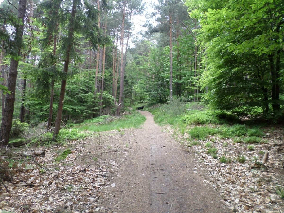 Chambres d'hôtes La Petite Vallée Rott Esterno foto