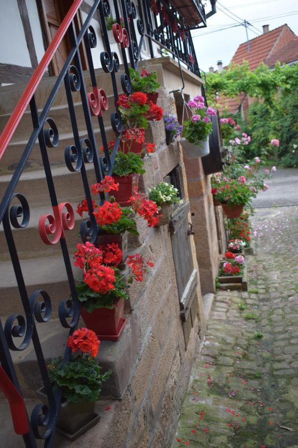 Chambres d'hôtes La Petite Vallée Rott Esterno foto