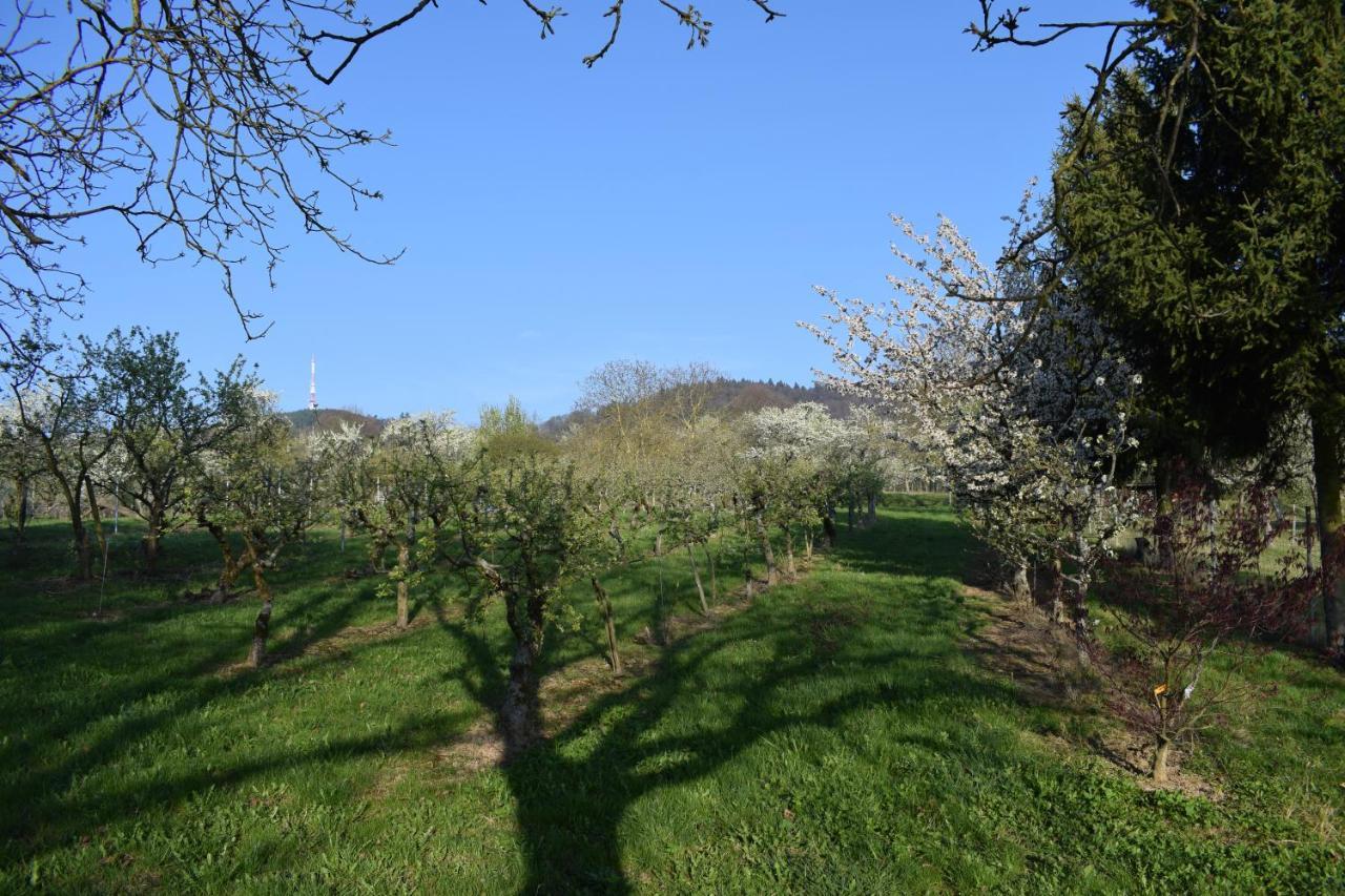 Chambres d'hôtes La Petite Vallée Rott Esterno foto