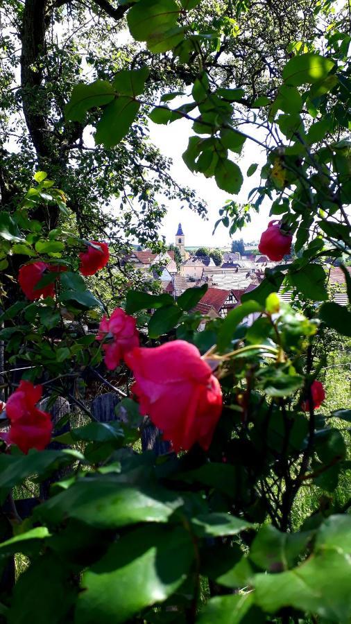 Chambres d'hôtes La Petite Vallée Rott Esterno foto